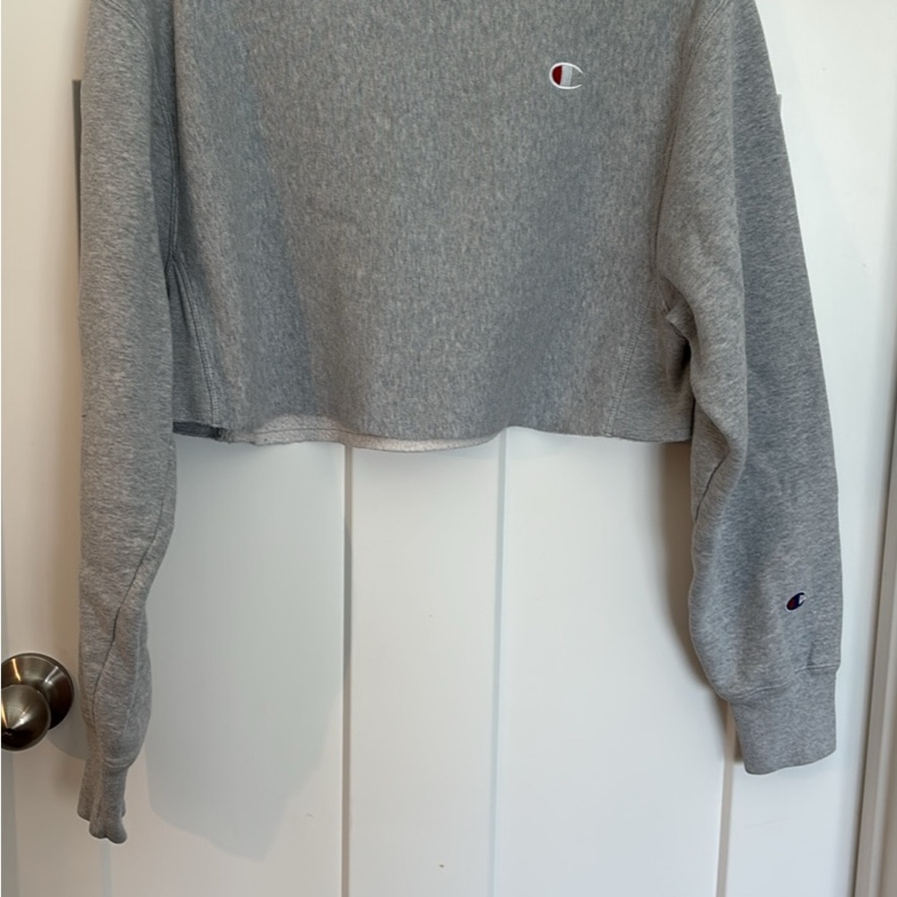 Champion Gray Boxy Cropped Hoodie